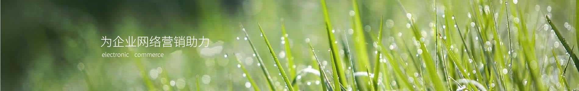 ݸǿе޹˾